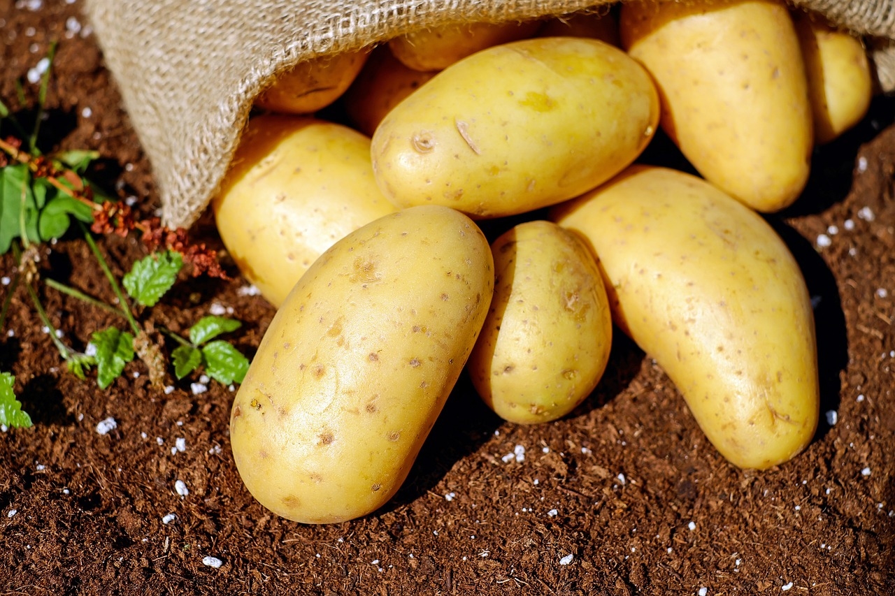 jak zrobić ziemniaki na patyku